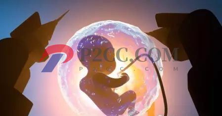 懷孕33周到36周，胎兒發(fā)育成什么樣呢？看看你家胎寶寶發(fā)育達(dá)標(biāo)嗎！(圖1)